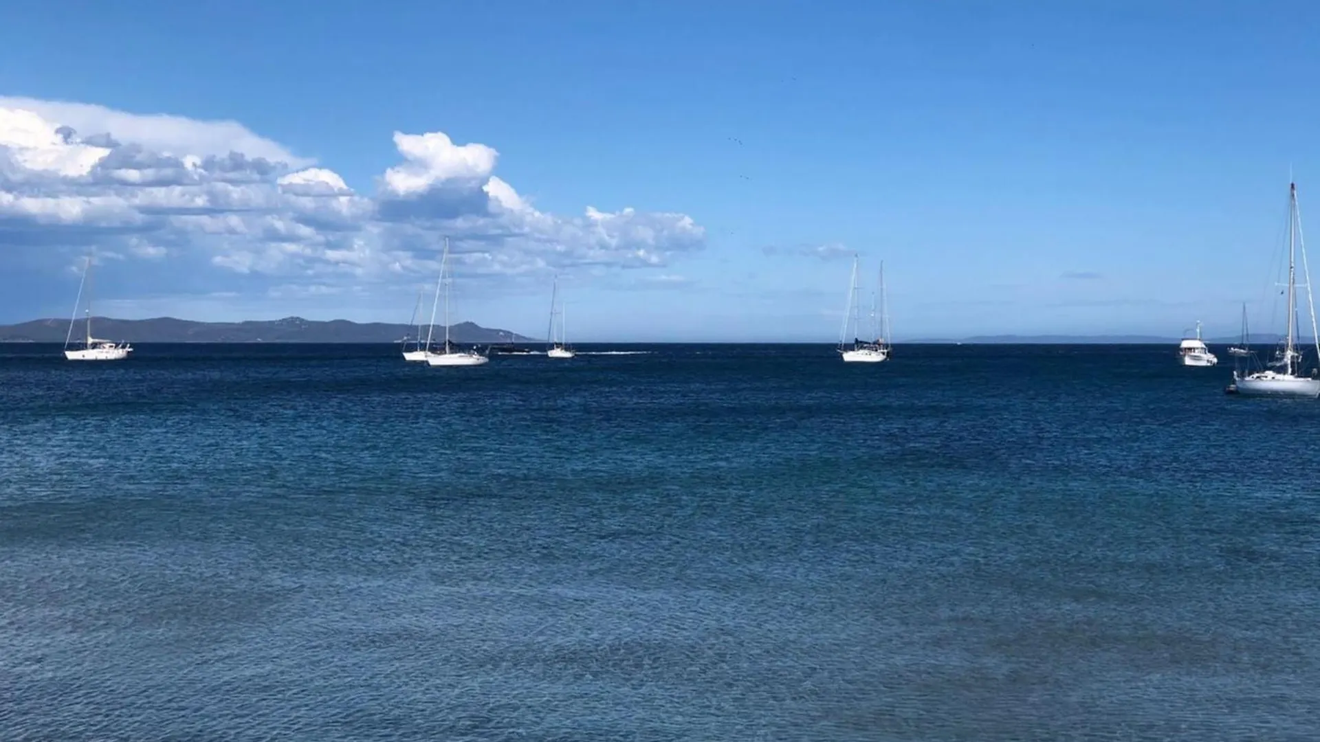 Apartment Malia La Radieuse' Wifi & Air Conditioning Hyeres